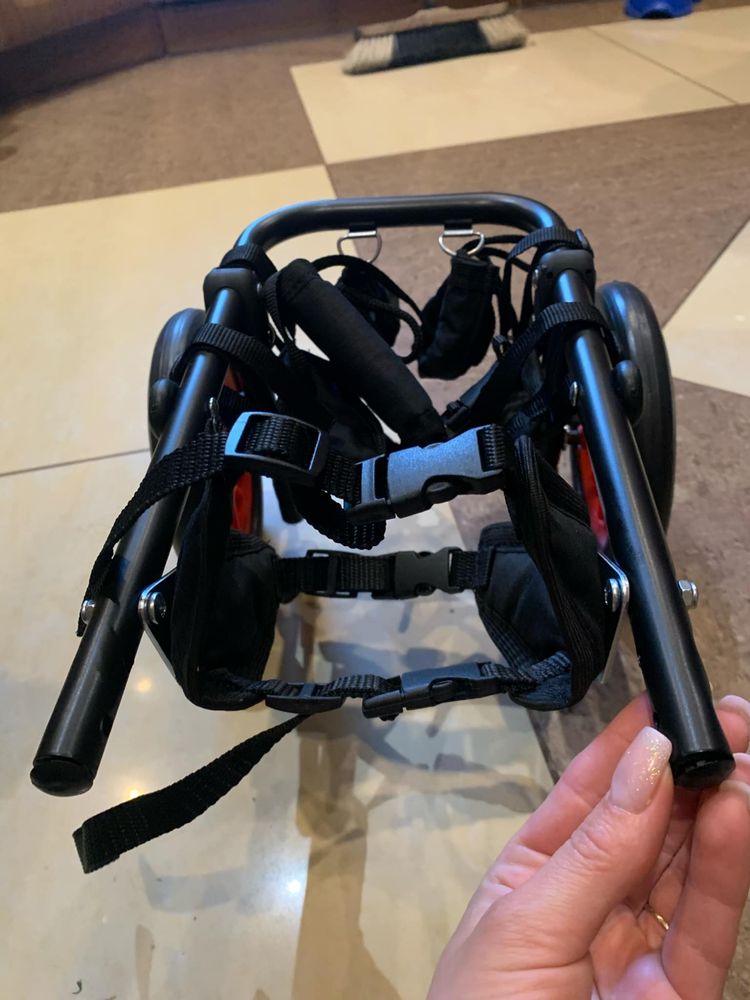 Mały wózek inwalidzki rehabilitacyjny dla psa 4-8 kg