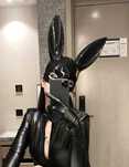 maska królik króliczek karnawał cosplay