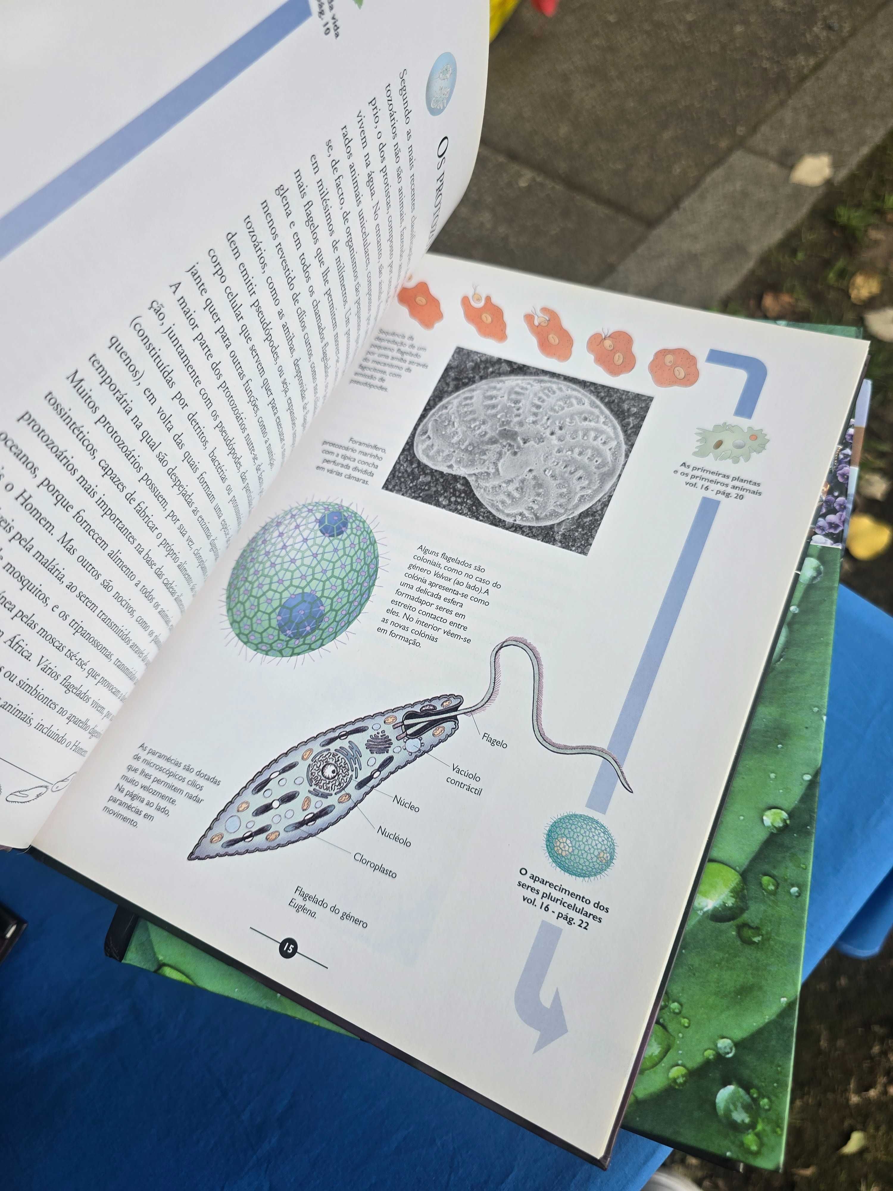 Enciclopedia pedagógica universal nova