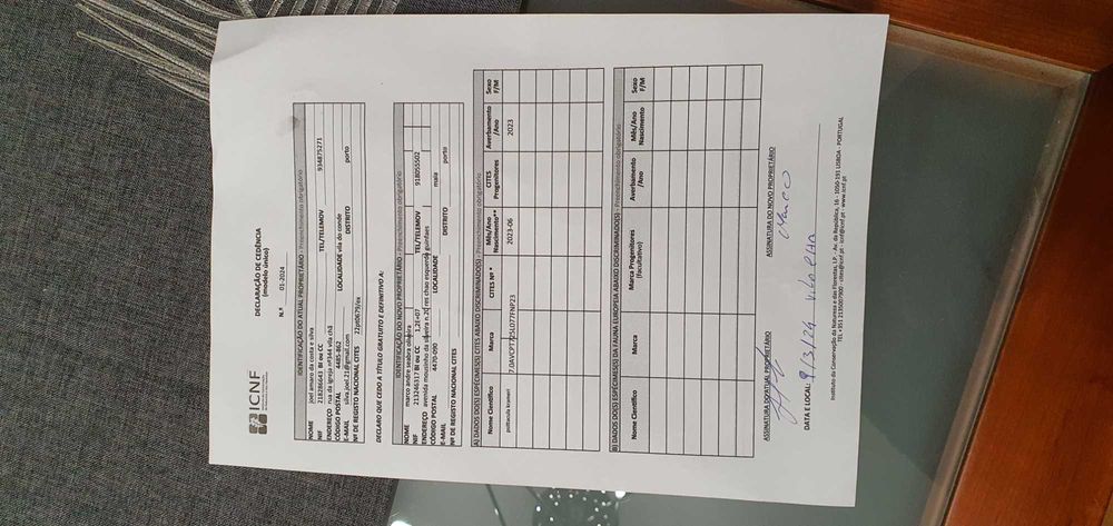 Vendo ring nek mais gaiola