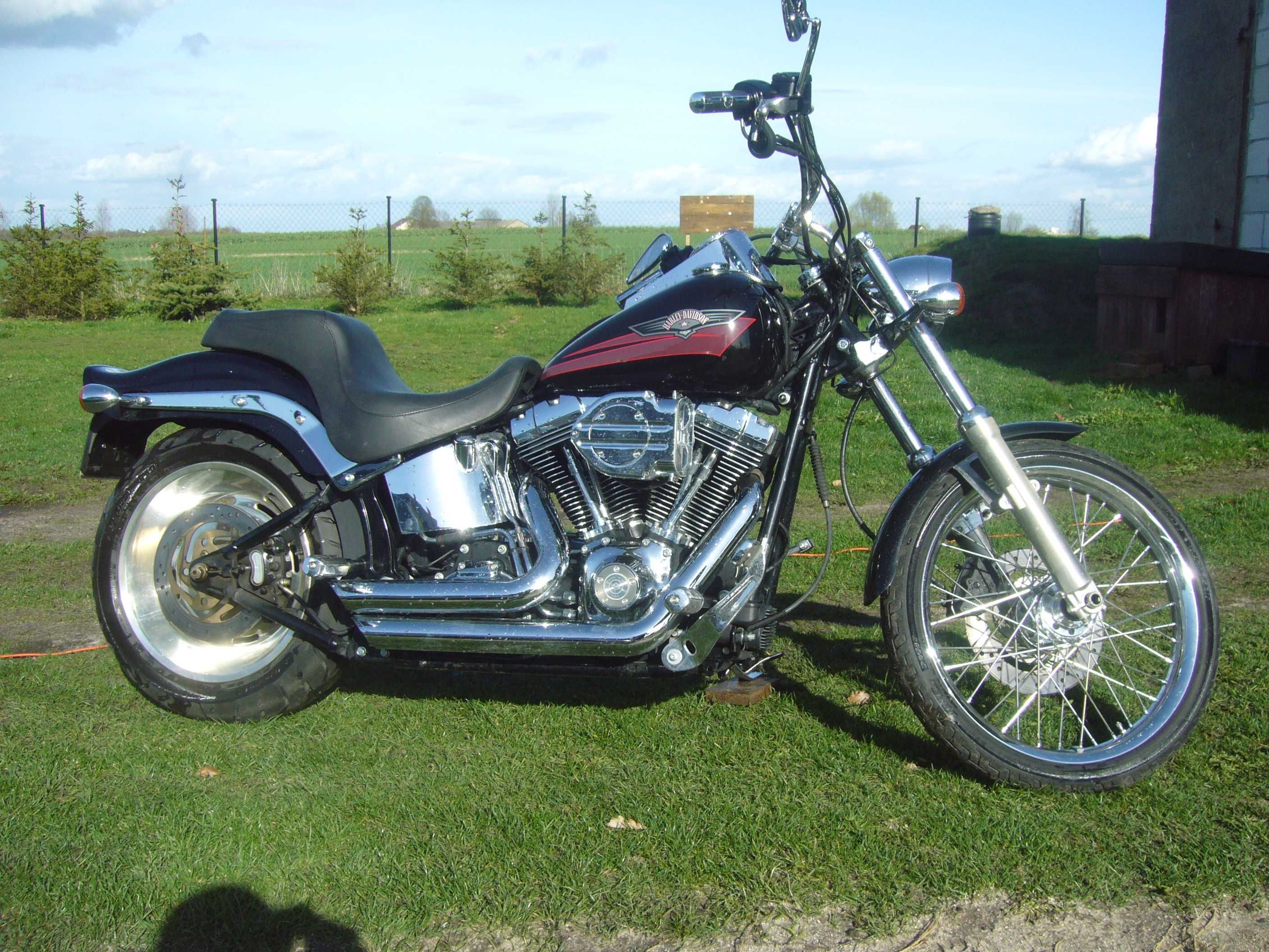 Harley Davidson Softail Custom.