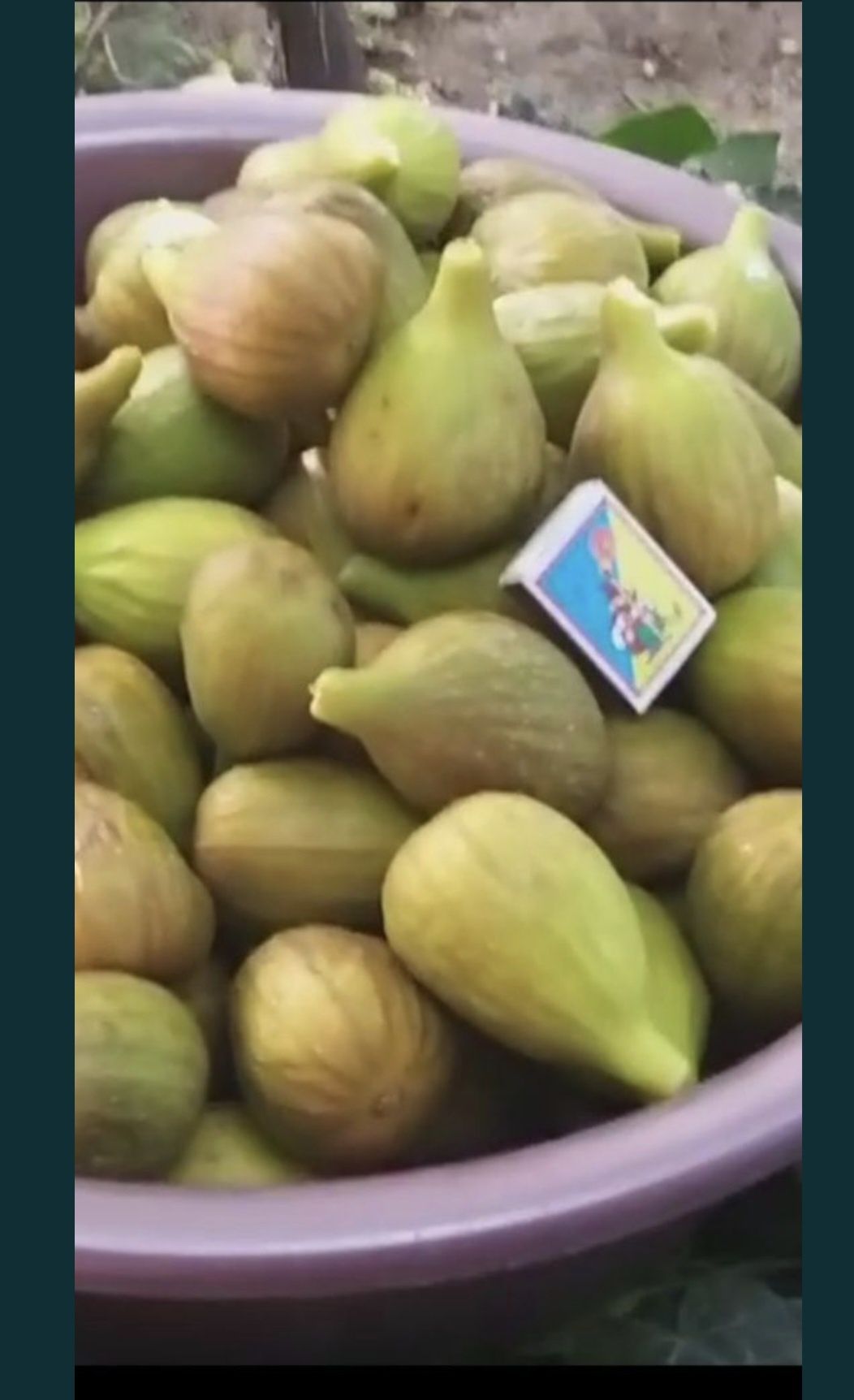 Продам инжир и  инжирное варенье