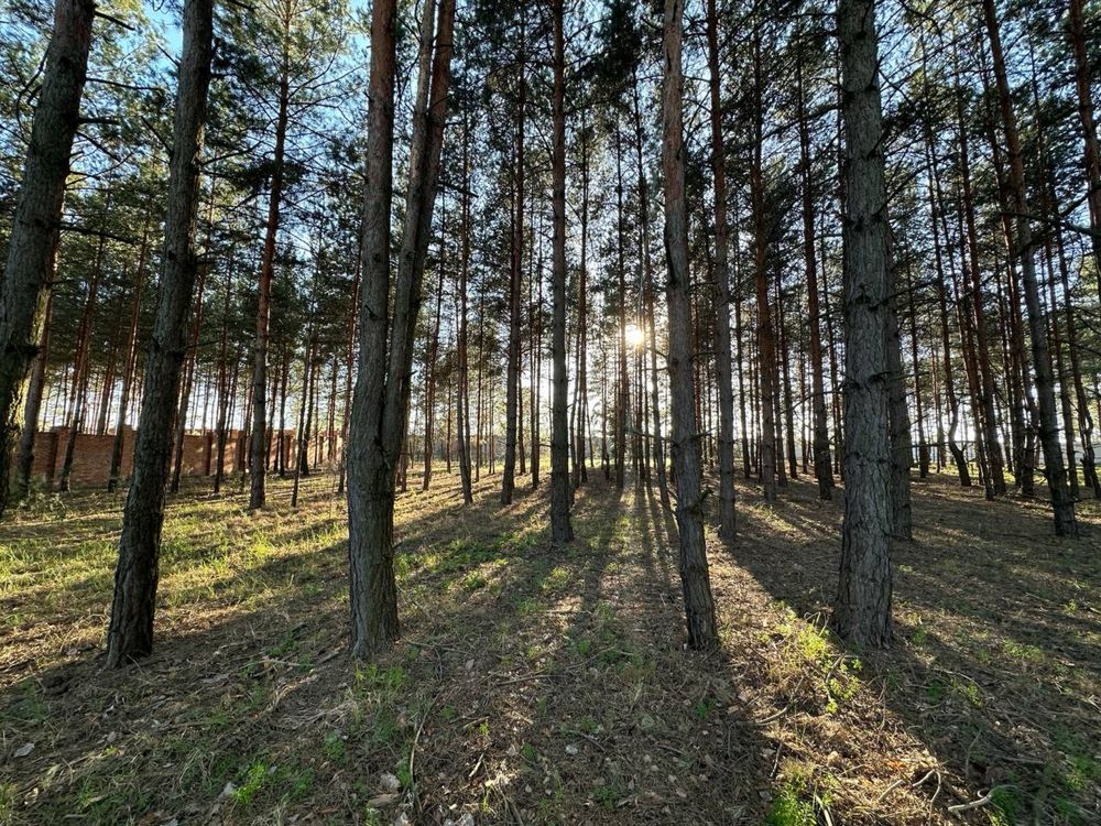 ‼️Продаж ділянки з виходом на воду 60 соток Проців Бориспільський р-н