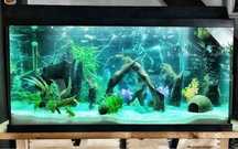 Akwarium Juwel 100 l + akcesoria -stan idealny