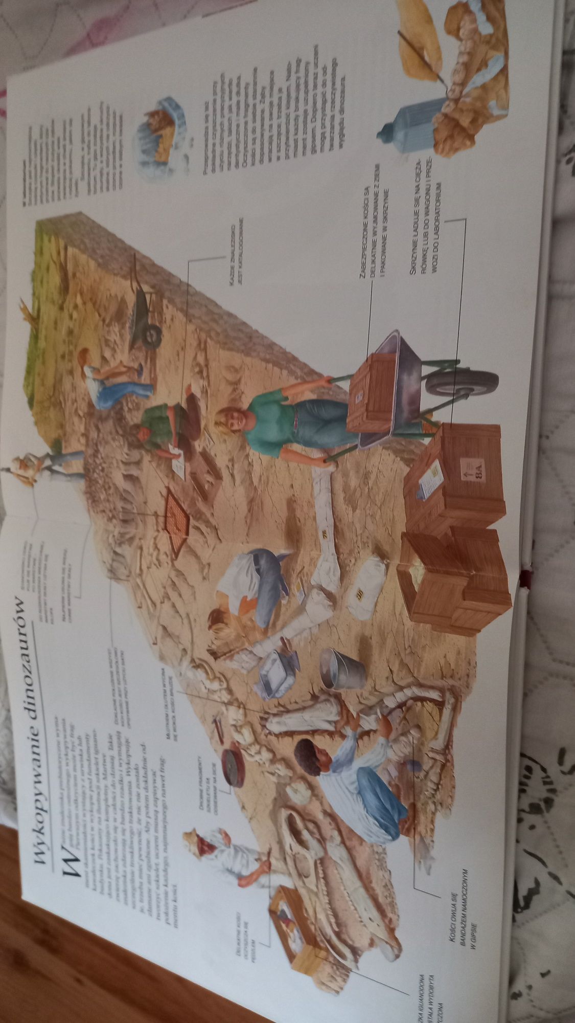 Książka "Odkrywanie prehistorii"