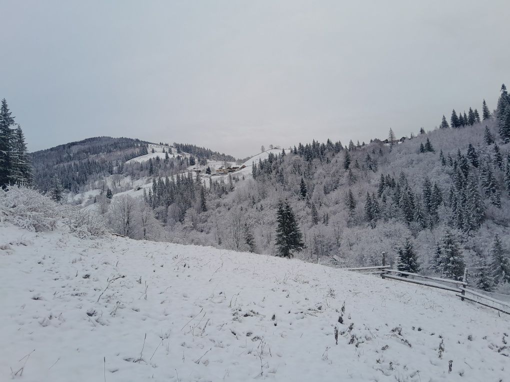Земельна ділянка у Криворівні
