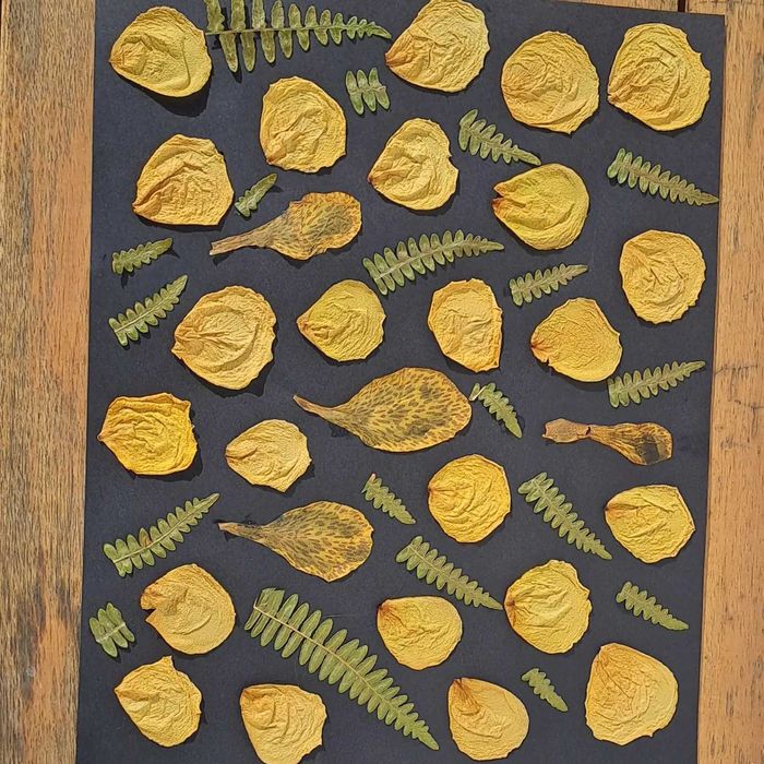 Moldura Coleção Black Vintage Jardim