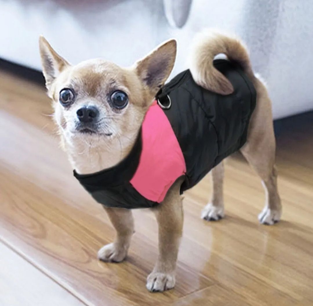 Куртка+желет для собак середніх та малих  порід