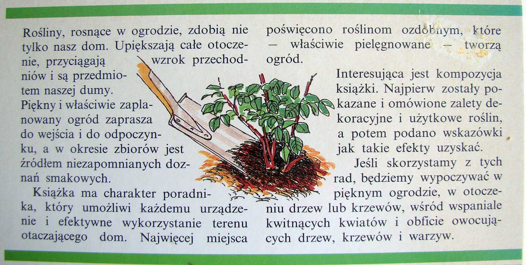 Ogród przy domu - projektowanie, uprawa, pielęgnacja.