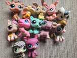 LPS, 12  figurek Pet Shop