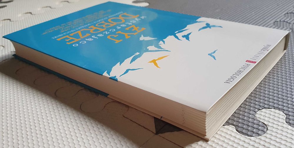 Żyj wystarczająco dobrze Agnieszka Jucewicz Grzegorz Sroczyński