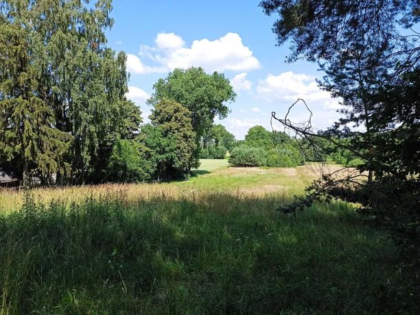 Urokliwa działka nad Bugiem w Starych Buczycach