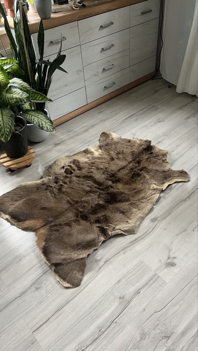 Skóra z dzika brazowa