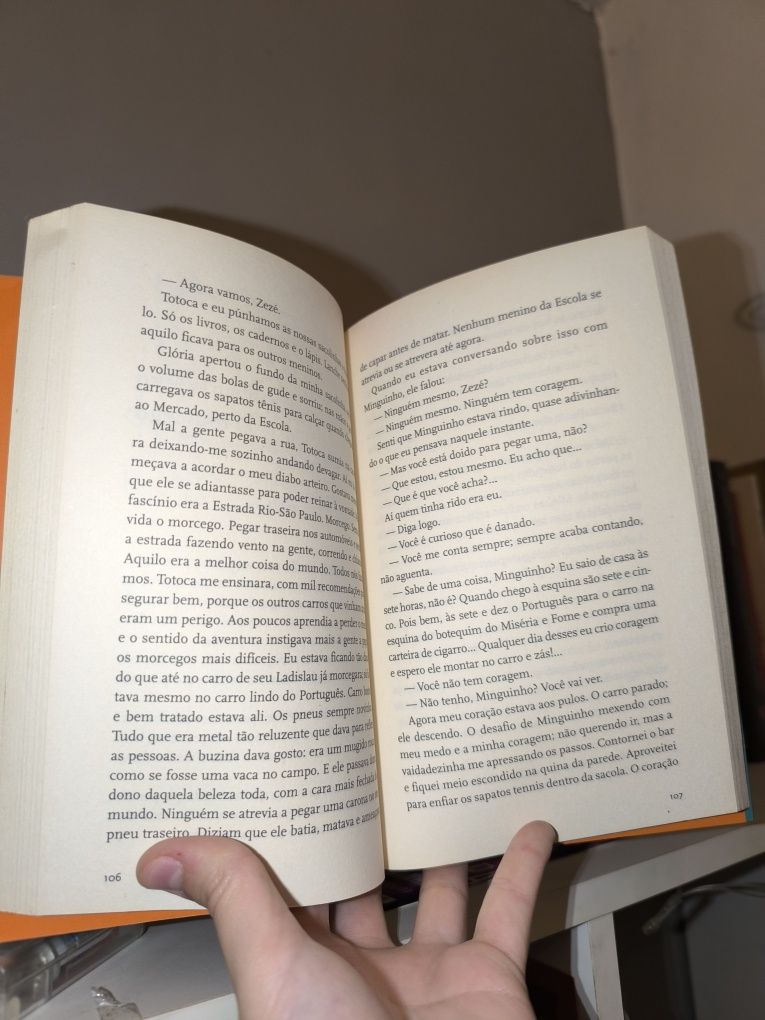 O Meu Pé de Laranja Lima - livro 22ª Edição