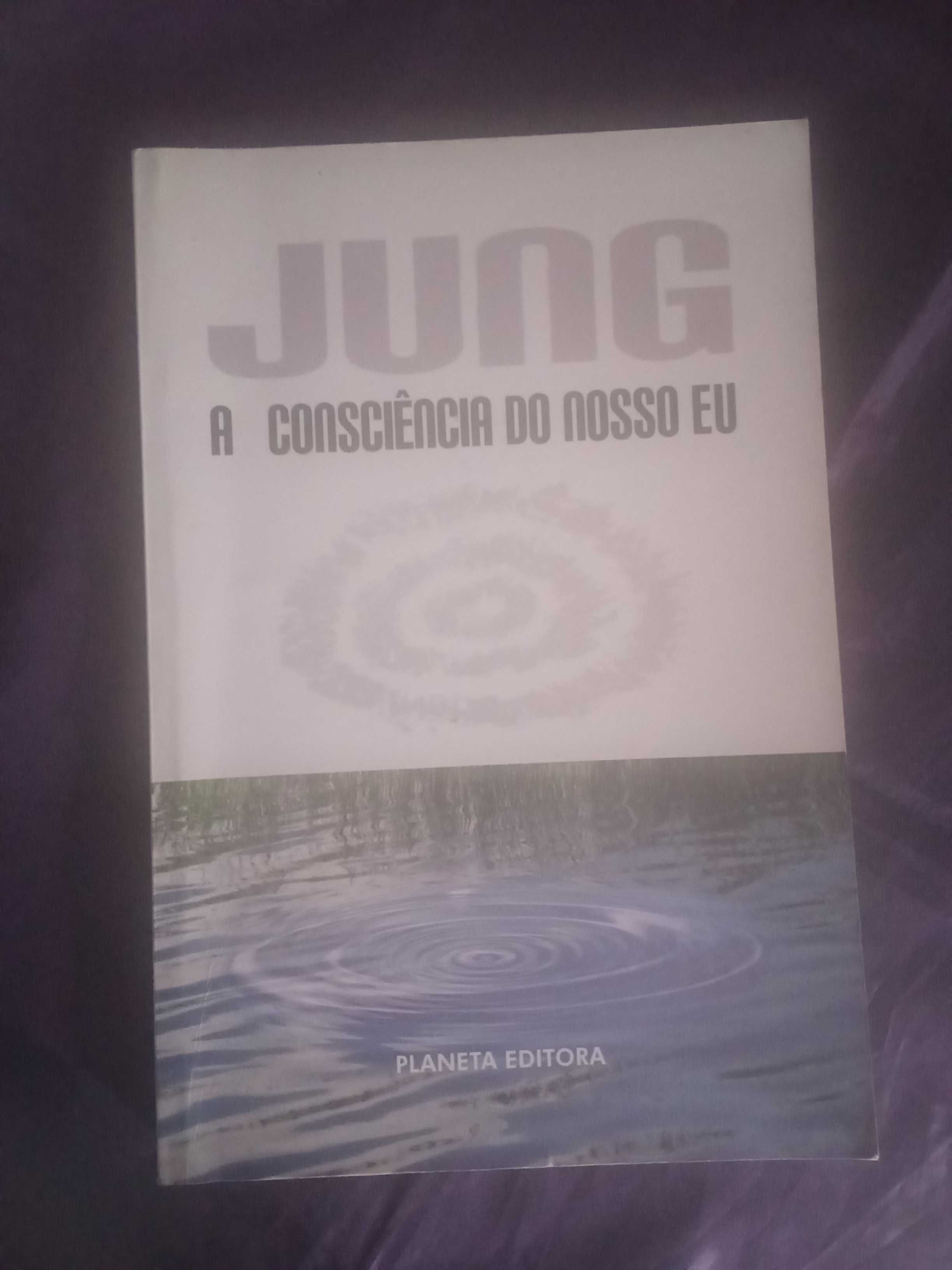 Jung: A Consciência do Nosso Eu - M. Brumlik
