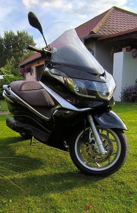 Poaggio x 10 ( kat. B) 125cm