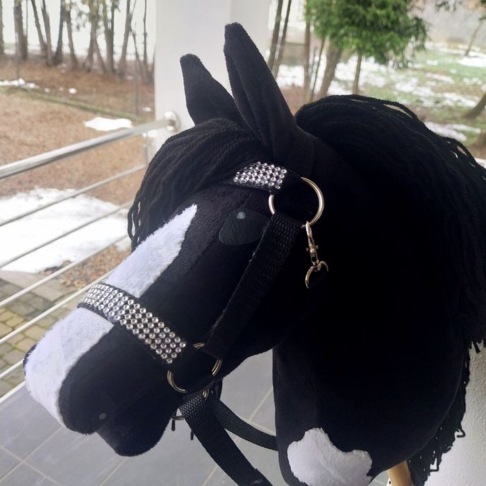 Hobby Horse-koń na kiju