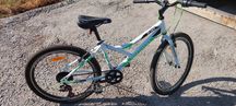 Велосипед Discovery Flint 14" 24" 2020