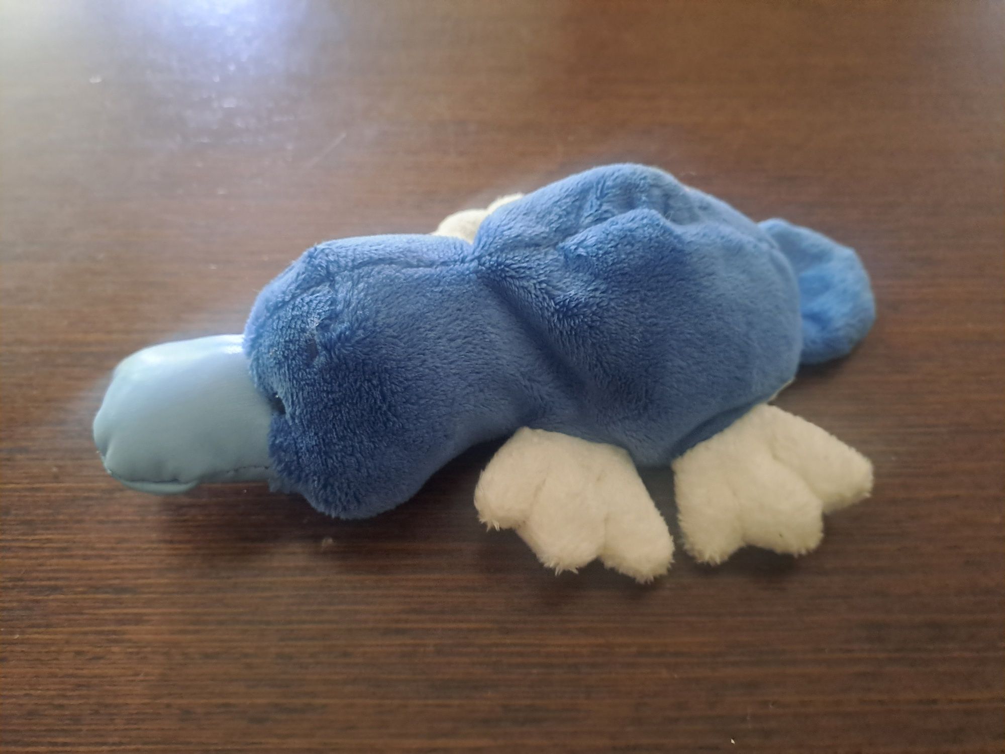 Maskotka dziobak Blue Nose