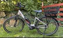 Kreidler Vitality Eco damka ktm pegasus gazelle haibike kettler