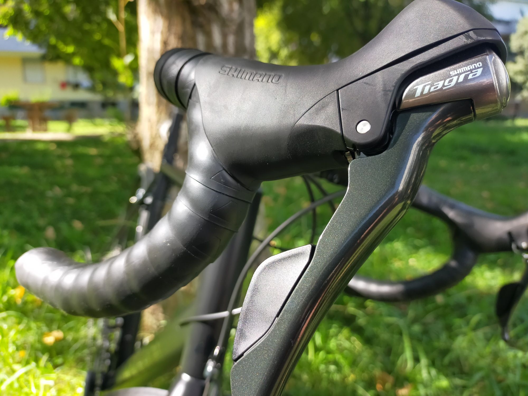 Canyon endurance AL 6 RB