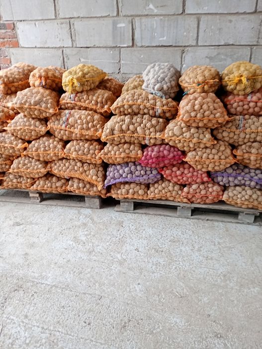 Sprzedam ziemniaki paszowe