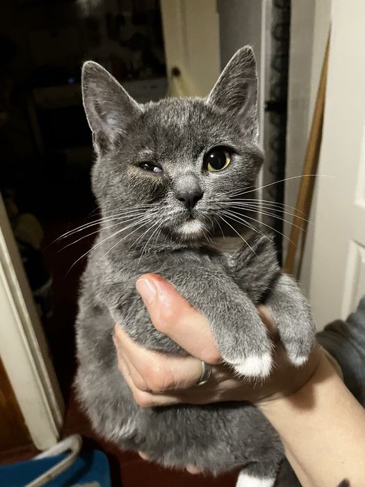 Знайомтесь - Дана! 4 місяці