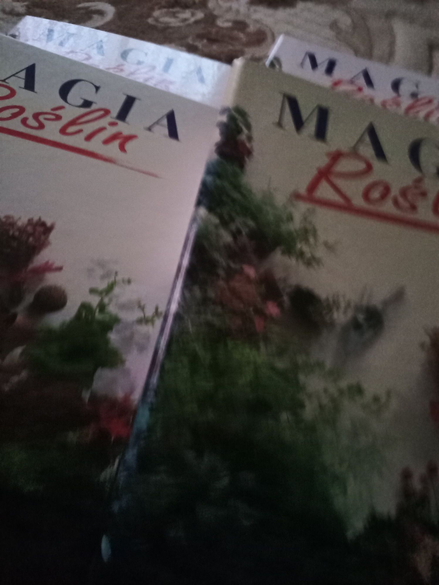 Magia roslin encyklopedia