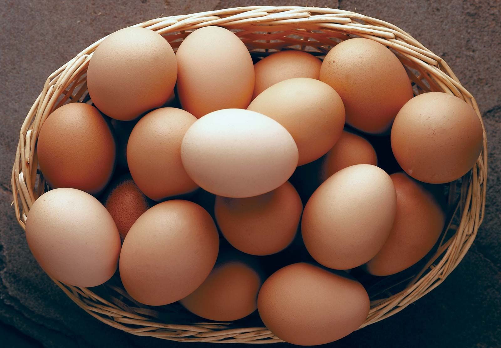 Ovos caseiros biológicos