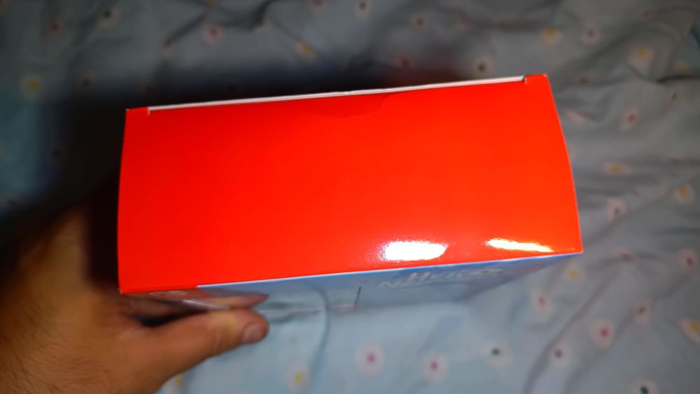 Hello Neighbor 2_Nintendo switch