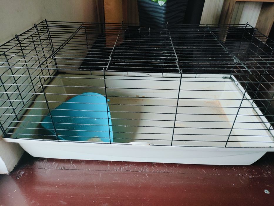 Klatka dla królika/świnki morskiej