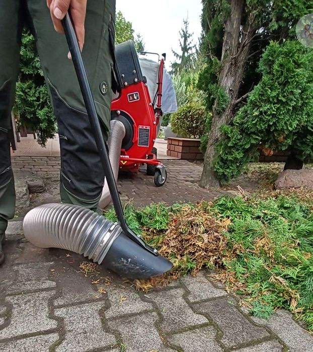 Profesjonalne usuwanie liści – dla firm I osób prywatnych