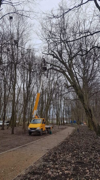 Kompleksowa wycinka i pielęgnacja • Zadbamy o Twój teren!