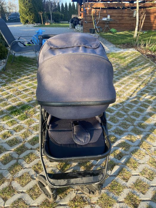 Spacerowka cavoe axo shine