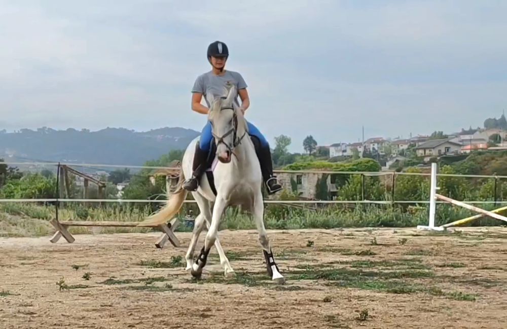 Égua PRL obstáculo