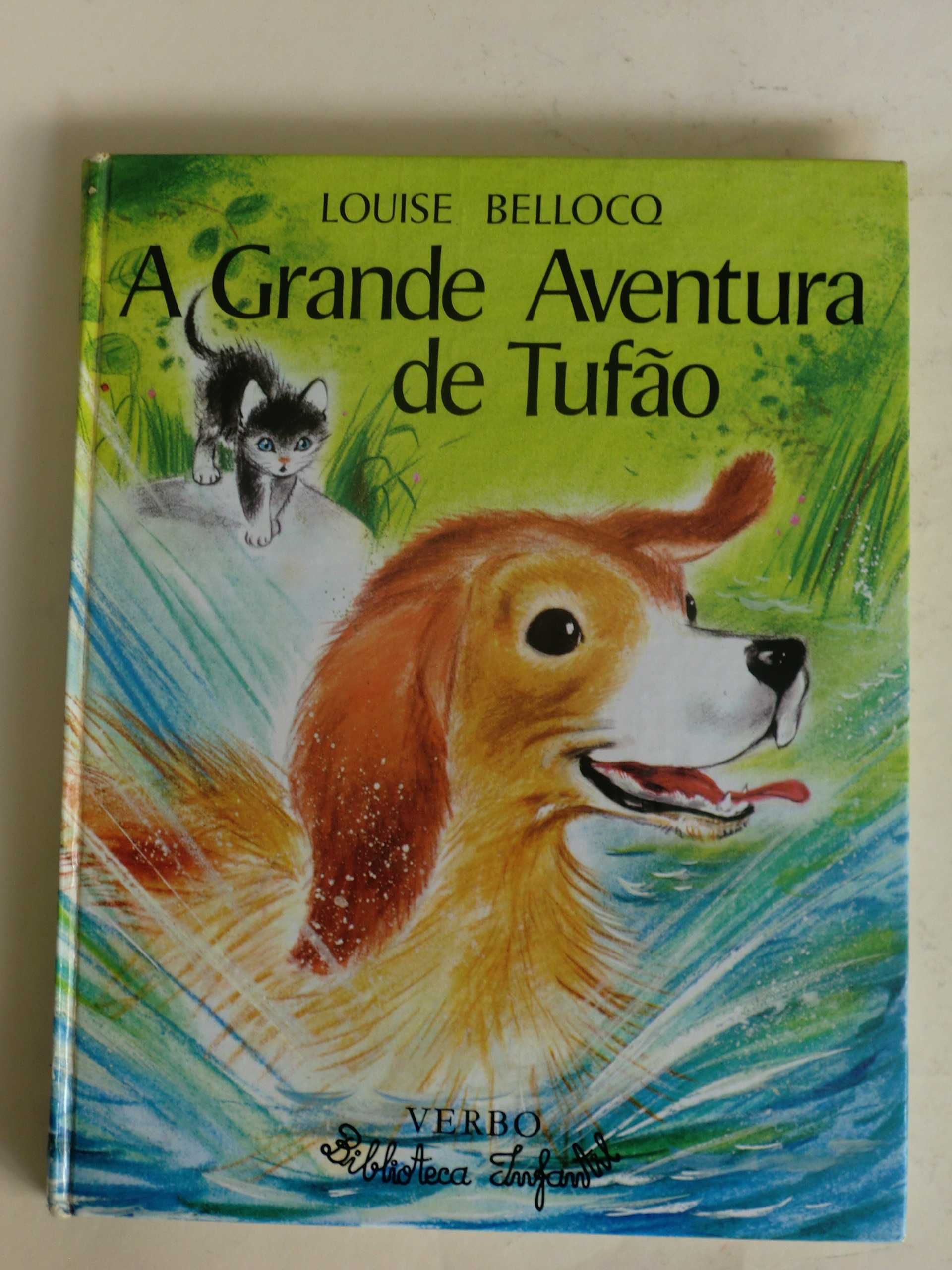 Biblioteca Infantil - Nº 15 e 24 - VERBO