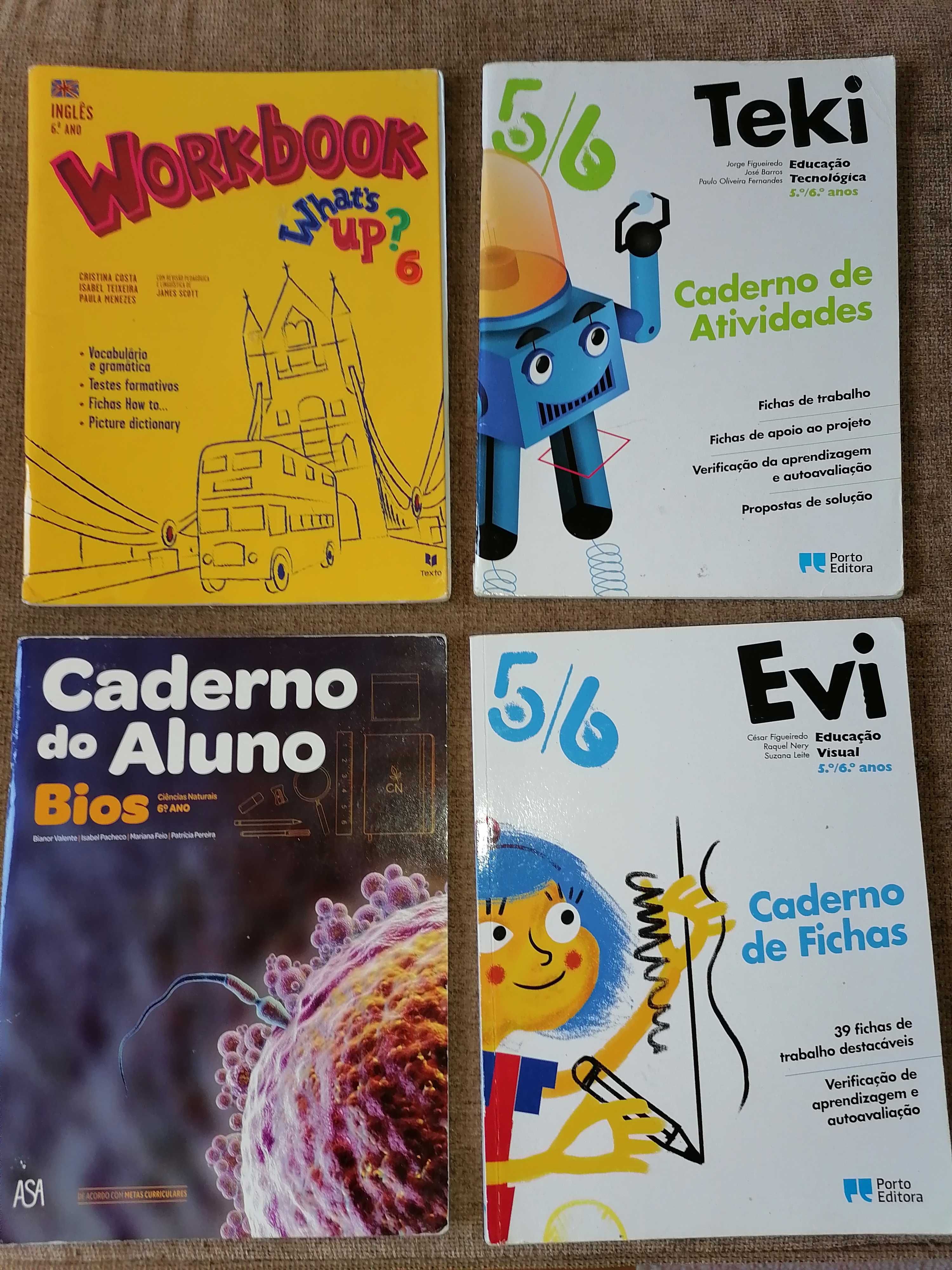 Cadernos de atividades/de Perguntas das disciplinas 5.º/ 6.ºAno
