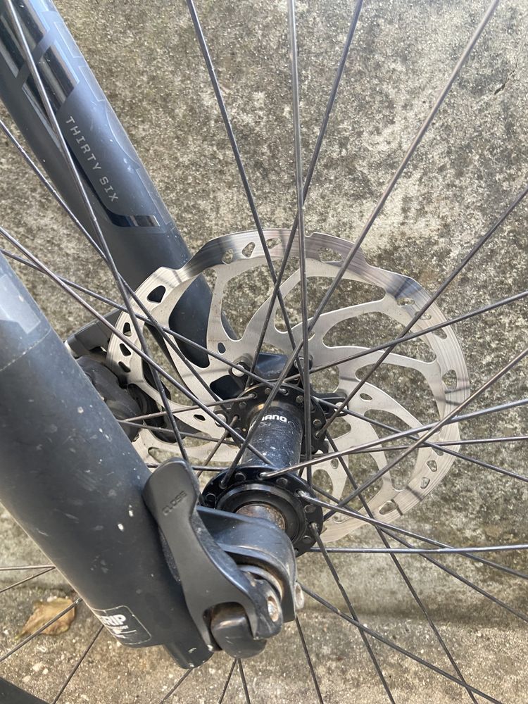 Orbea occam