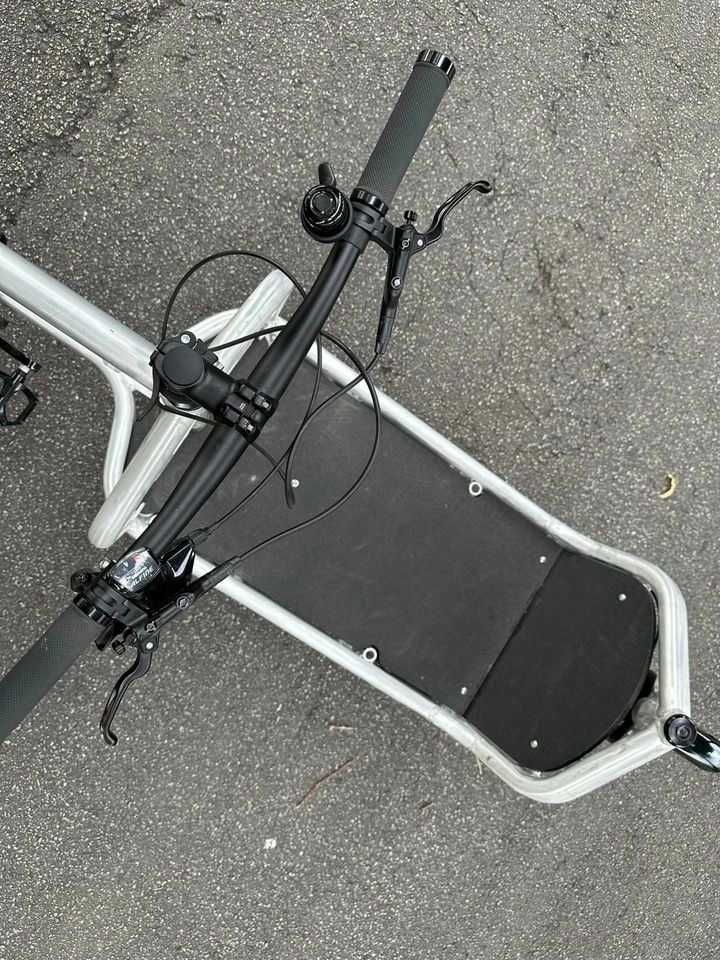 Cargo Bike Bullitt, Raw Alfine 8, carbon gates. Idealny