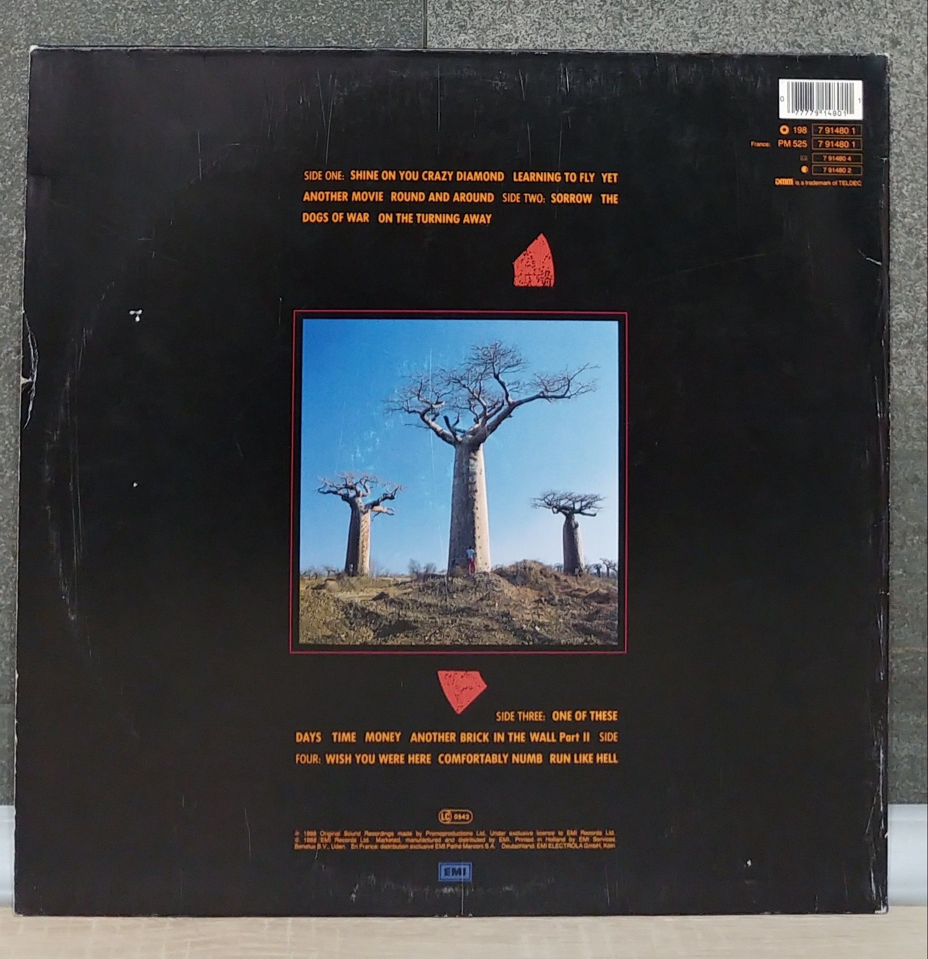 Pink Floyd - Delicate Sound Of Thunder. 1988r.