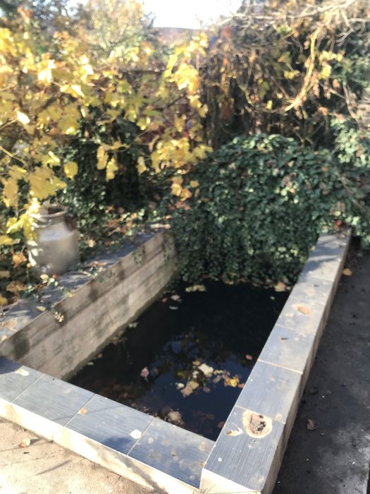 Продам собственный дом