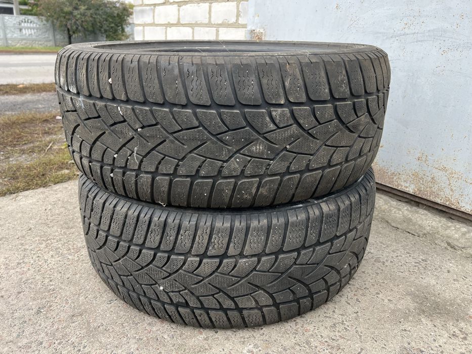 Зимові шини Dunlop SP Winter Sport 3D 235/45 R19