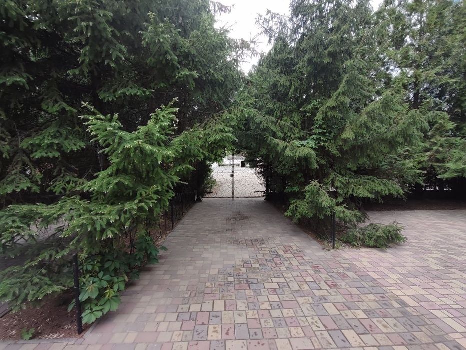 Оренда - діюче кафе в місті Самар