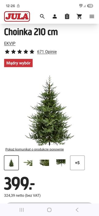 Choinka Jula jak żywa