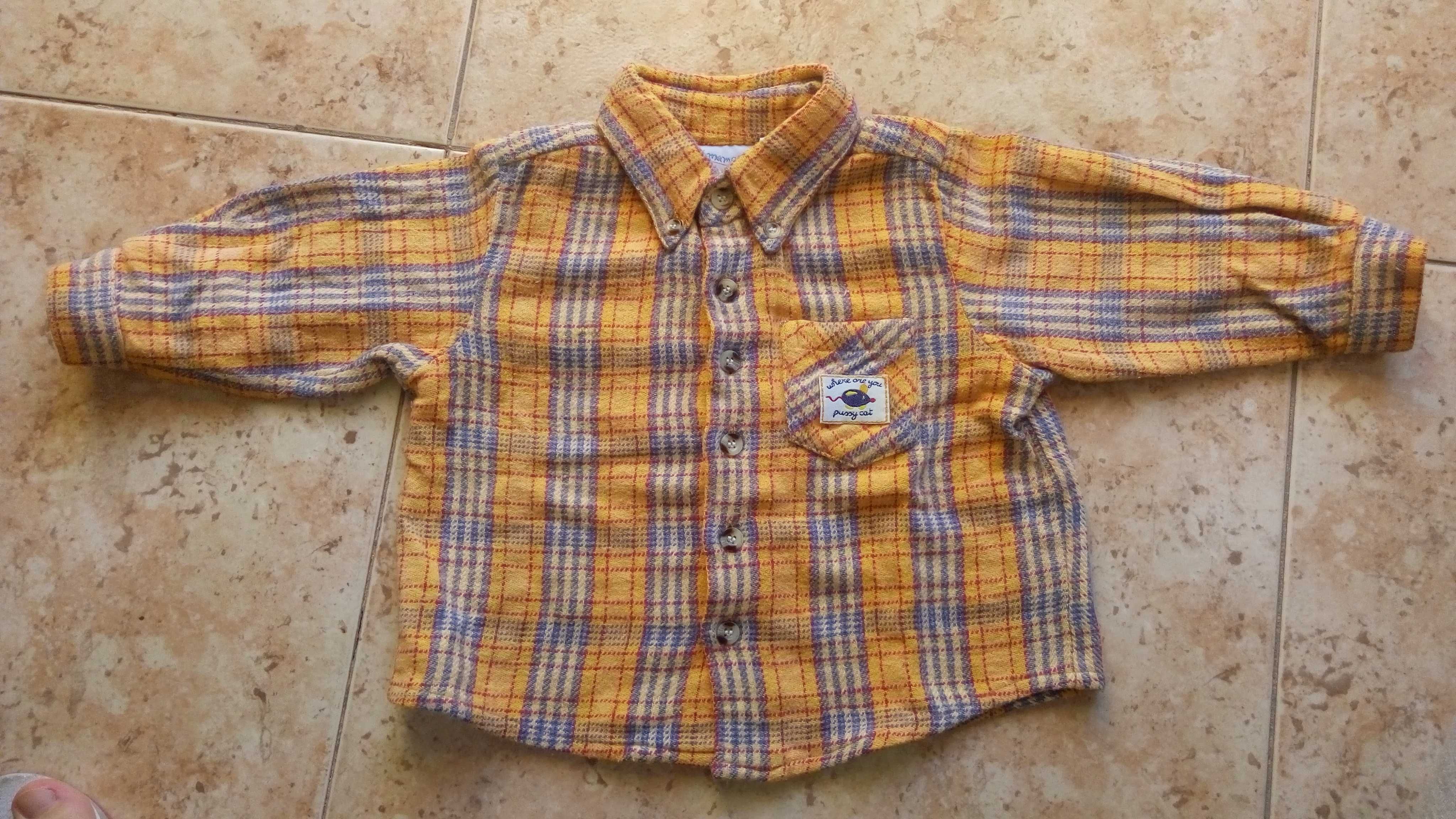 Camisas de menino 2-3 anos (como novas)