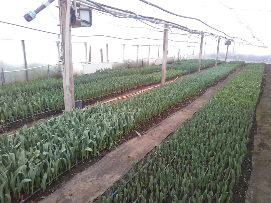 Продам готовый действующий бизнес