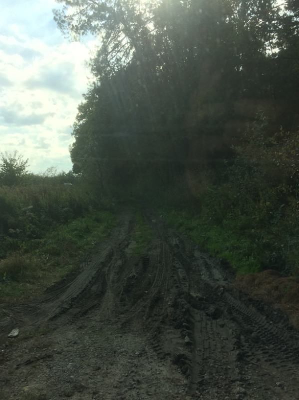 Działka leśna Kazimierz Dolny Mięćmierz 12051 m2