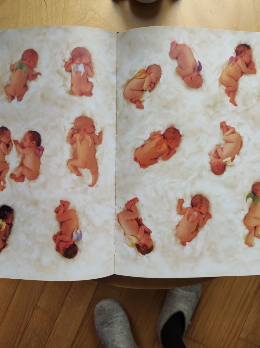 Album fotografii Anne Geddes