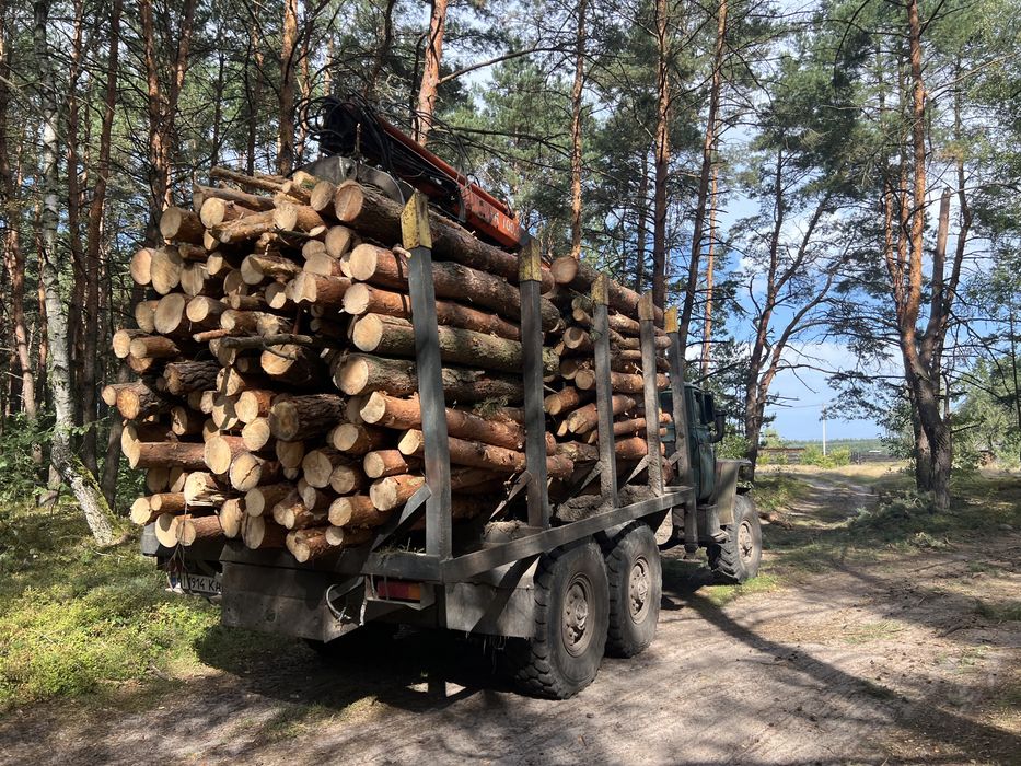 Продам дрова