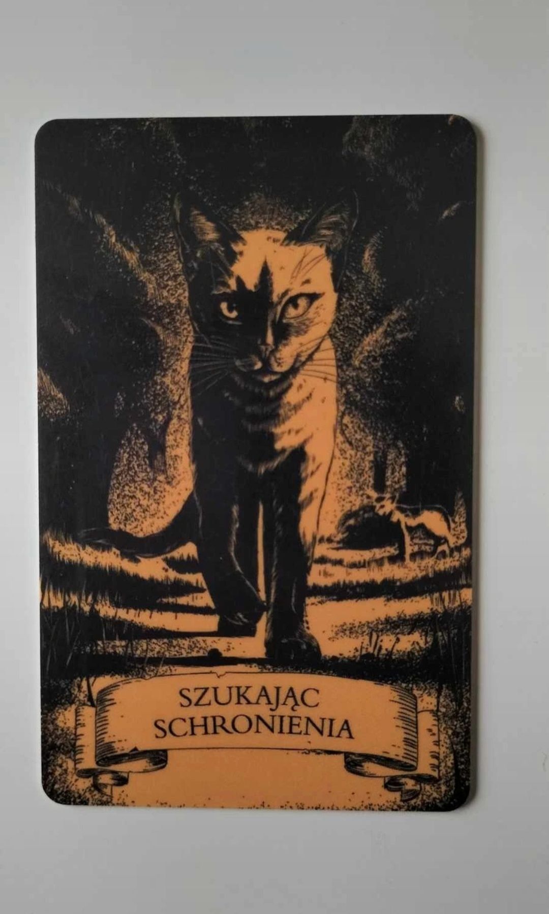 Karta kolekcjonerska Wojownicy Szukając schronienia Warrior Cats